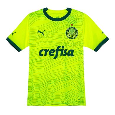 2023-24-Palmeiras-Third-Soccer-Jersey