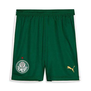 2024-2025-Palmeiras-Away-Soccer-Shorts