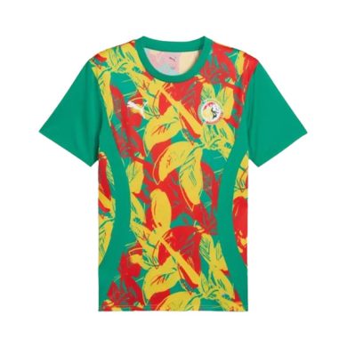 2024-Senegal-Pre-Match-Soccer-Jersey